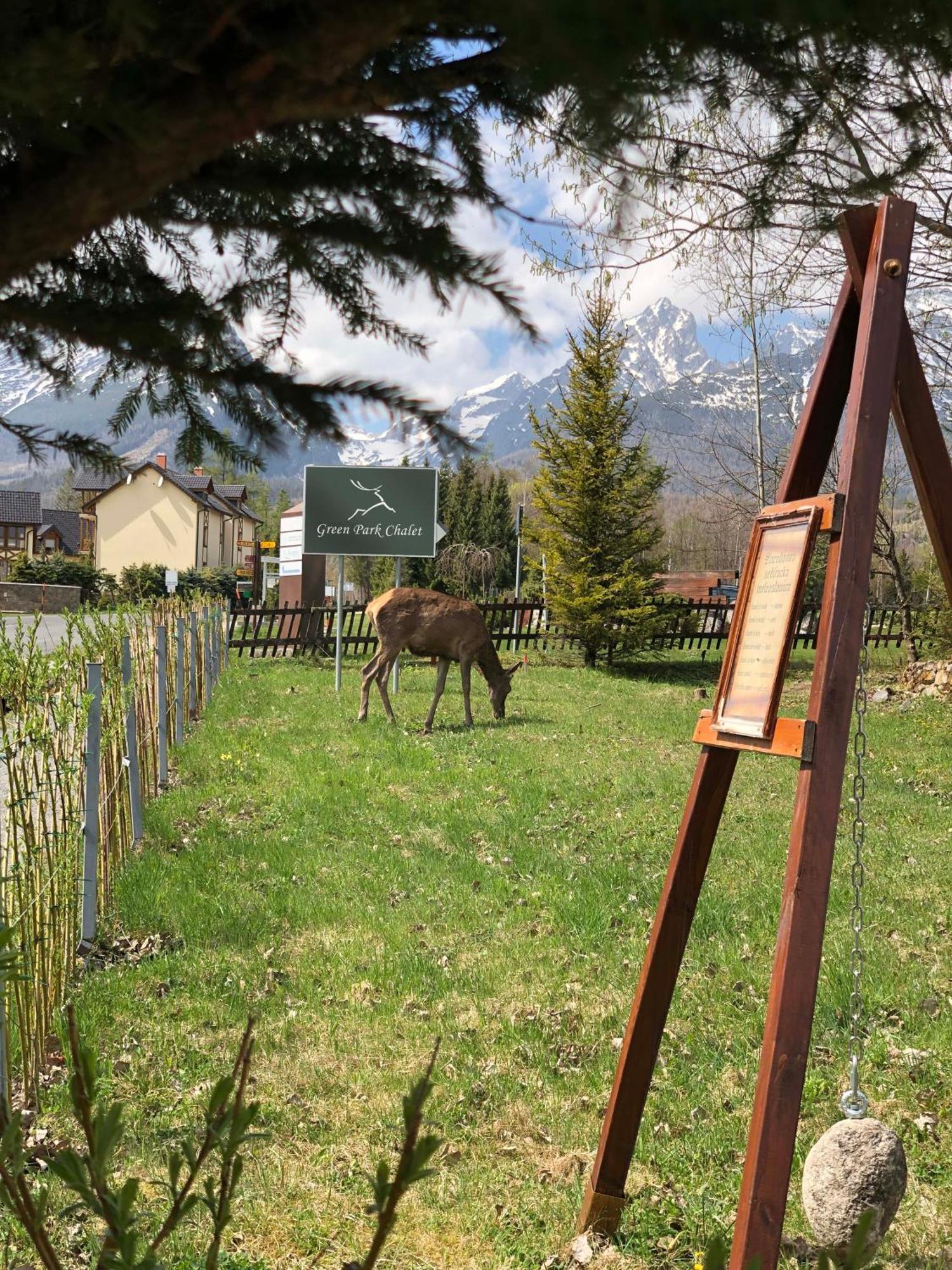 Chalet Green Park Stará Lesná Eksteriør bilde